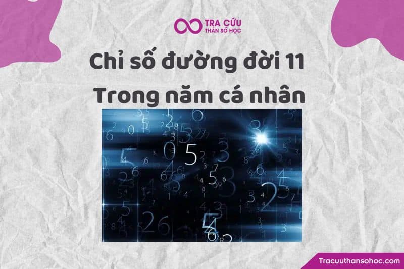 Chỉ số đường đời 11 trong năm cá nhân