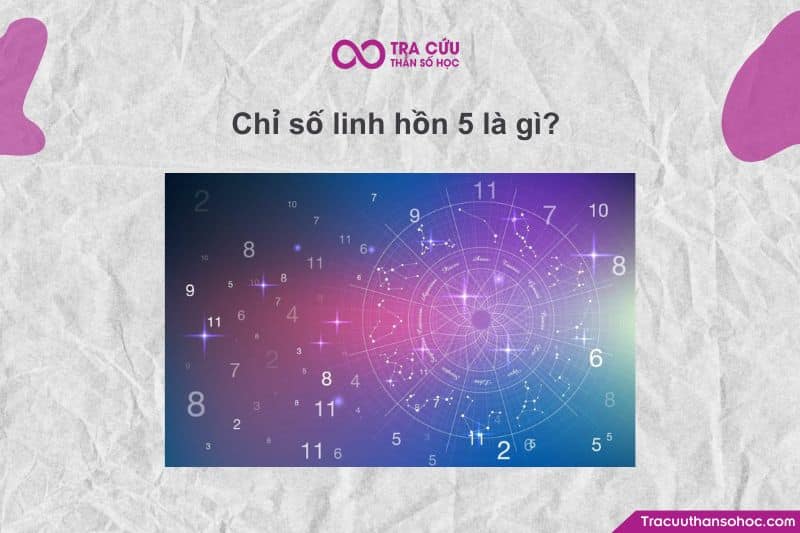 Chỉ số linh hồn 5 (Soul Urge Number 5) trong Thần số học