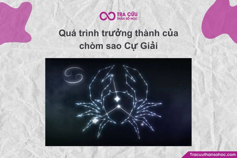 Cự Giải bắt đầu đối diện với tổn thương, thất vọng trong các mối quan hệ, hoặc mất niềm tin vào người khác