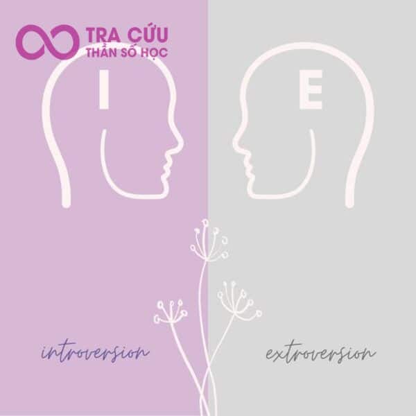 Đặc điểm của các nhóm tính cách trong MBTI hướng nội và MBTI hướng ngoại